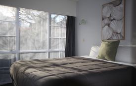 One Bedroom Apartment